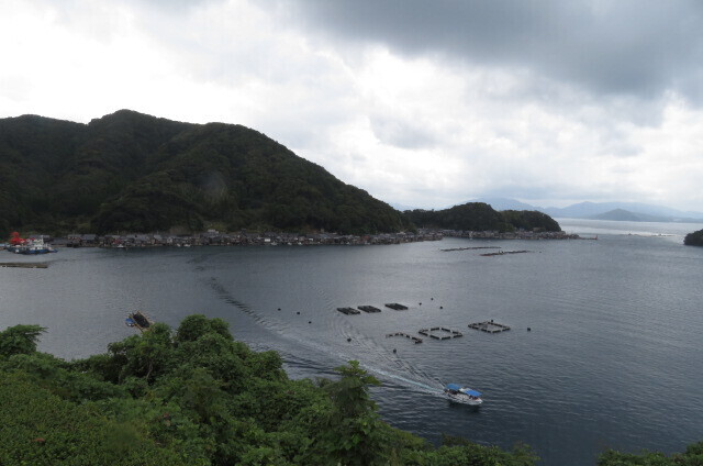 IMG_2850.JPG