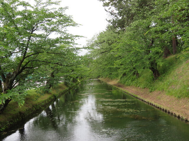 IMG_2862.JPG