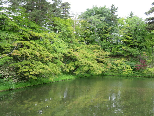 IMG_2900.JPG