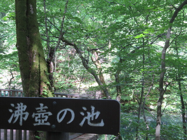 IMG_3277.JPG
