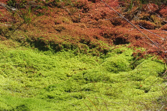 IMG_3324.JPG