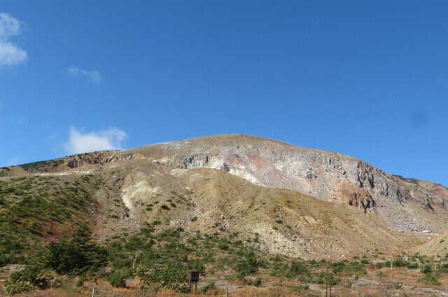 IMG_3331.JPG