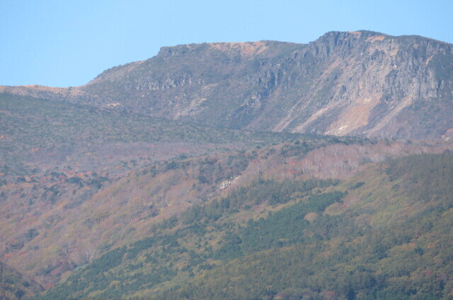 IMG_3549.JPG