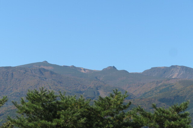 IMG_3551.JPG