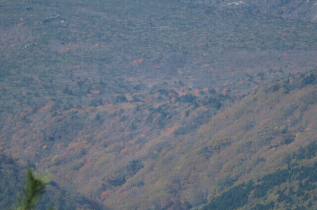 IMG_3552.JPG