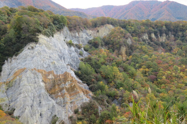 IMG_4438.JPG