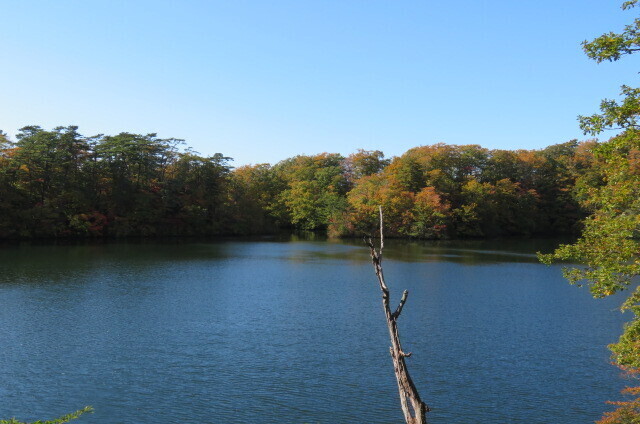 IMG_4550.JPG
