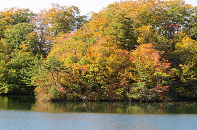 IMG_4555.JPG